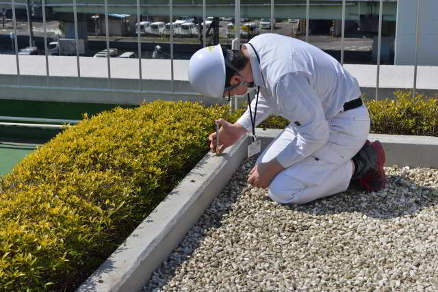 稲荷玉垣のアンカー